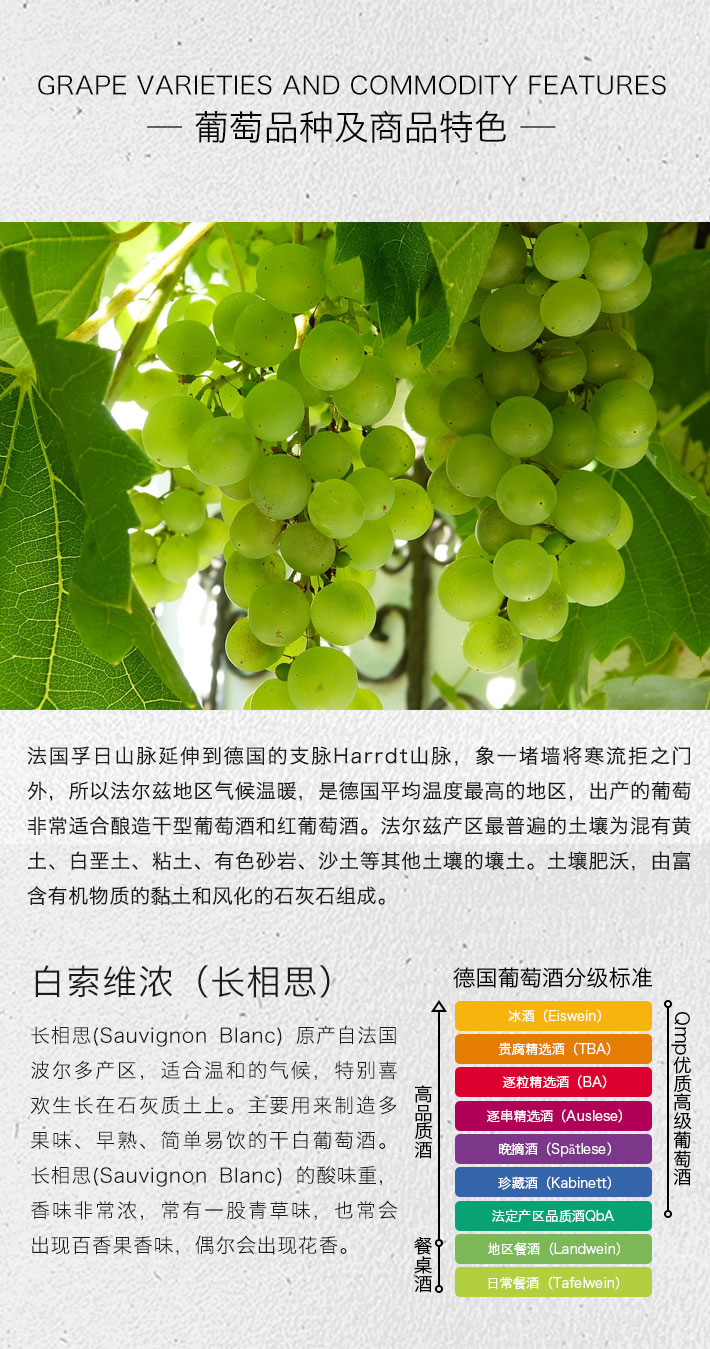德国酒门 长相思 高级干白葡萄酒 750ml